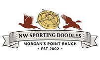 NW Sporting Doodles