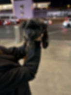 Happy puppy being held in the air outside after a safe flight—celebrating a successful pet transport and smooth relocation experience.