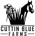 Cuttin Blue Farms Cocker Spaniels