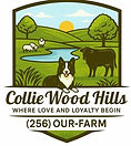 Collie Wood Hills