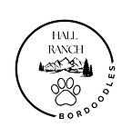 Hall Ranch Bordoodles