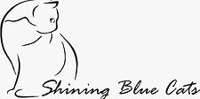 Shining Blue Cats