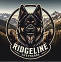 Pet Transportation for Ridgeline Shepherds