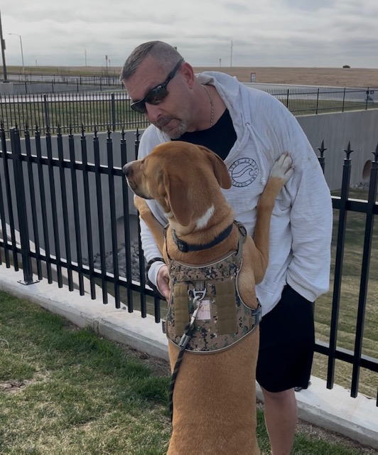Chris helping a dog during a journey
